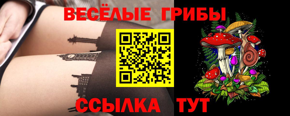 Нерюнгри  Галлюциногенные грибы MAGIC MUSHROOMS  Вход с VPN 